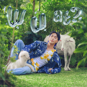 VIDI - w u at?
