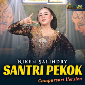 Niken Salindry - Santri Pekok