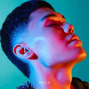 Nuca - Perisai