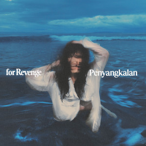 For Revenge - Penyangkalan