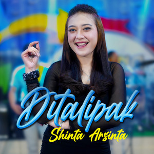 Shinta Arsinta - Ditalipak